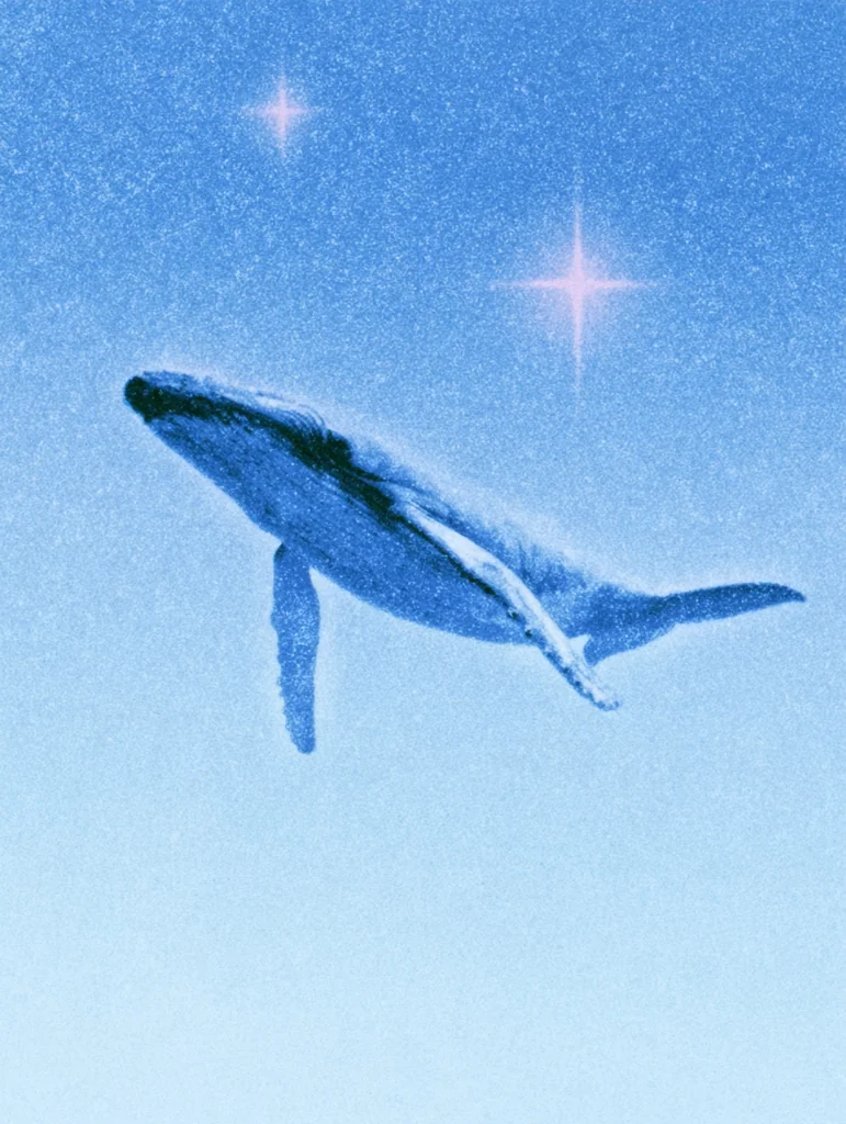 A humpback whale floating in a grainy light blue starry sky