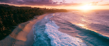 Aerial View of Tropical Beach at Sunset