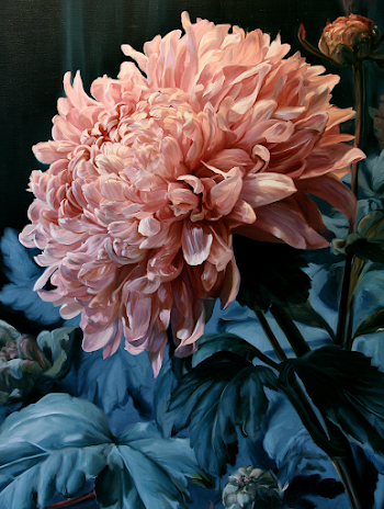 Blooming Chrysanthemum in Soft Pastels