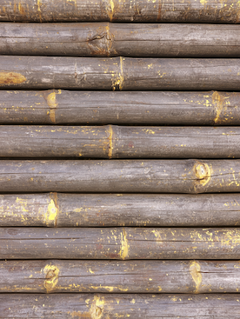 Close-Up of Rustic Bamboo Wall