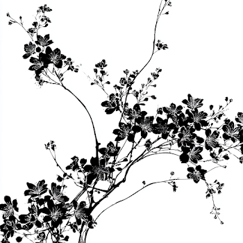 Elegant Black and White Botanical Illustration of Cherry Blossom Branches
