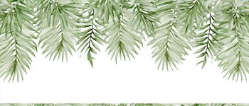 Elegant Tropical Palm Fronds Watercolor Banner