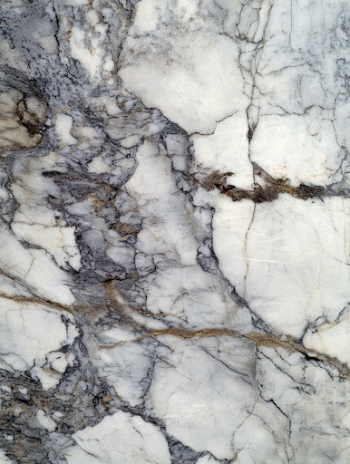 Elegant White Marble with Dark Veins