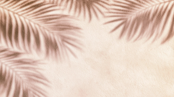 Minimal Abstract Tropical Background with Palm Shadows