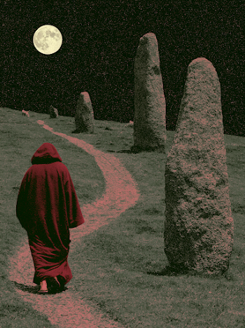 Mystical Journey Under the Moonlight