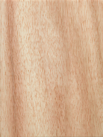 Natural Light Wood Plank with Fine Grain Detail