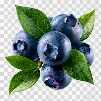 PNG Fresh Wild Blueberries Cluster on White Background