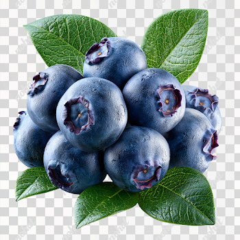 PNG Fresh Wild Blueberries on White Background