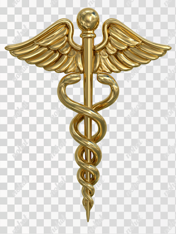 PNG Isolated Golden Medical Caduceus Emblem