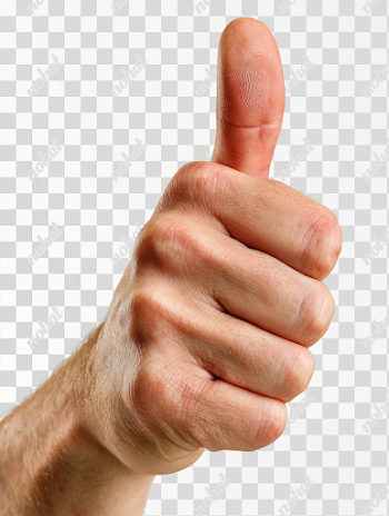 PNG Realistic Human Hand Thumbs-Up Gesture