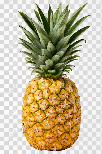 PNG Whole Ripe Pineapple Isolated