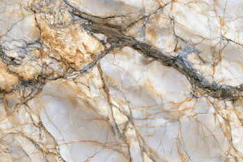 Polished Beige Breccia Marble Slab with Gold and Grey Veining