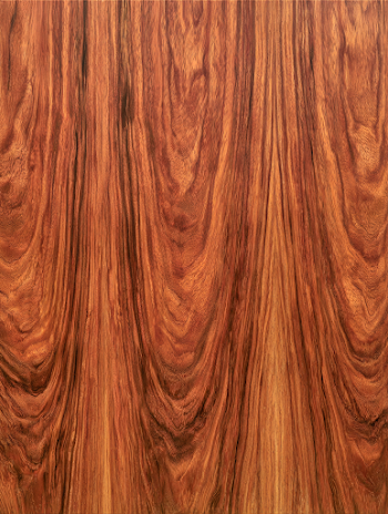 Polished Warm Brown Hardwood Texture