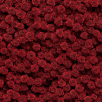 Seamless Bed of Tightly Packed Red Roses