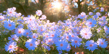 Serene Autumn Field of Purple Flowers