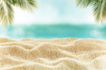 Serene Close-Up of Beach Sand with Palm Fronds