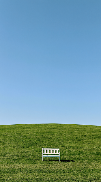 Serene Green Meadow with Minimalist Bench Under Clear Sky