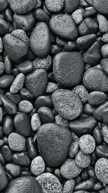 Top-Down Macro Photograph of Wet River Pebbles