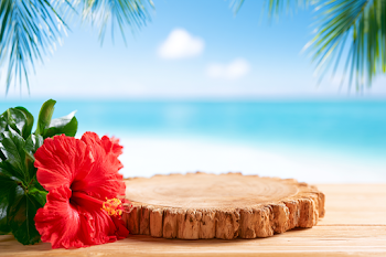Tropical Beach Still Life with Hibiscus and Wooden Tabletop