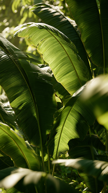 Tropical Leaves in Motion