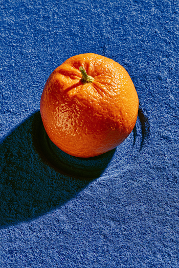 Vibrant Orange Fruit on Ultramarine Background