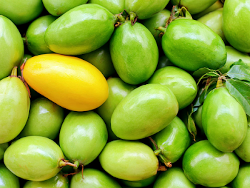 Vibrant Pile of Fresh Green Mangoes with a Ripe Yellow Mango