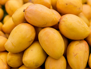 Vibrant Pile of Ripe Yellow Mangoes at Market Stall