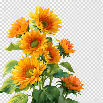 Vibrant Watercolor Sunflowers in Bloom