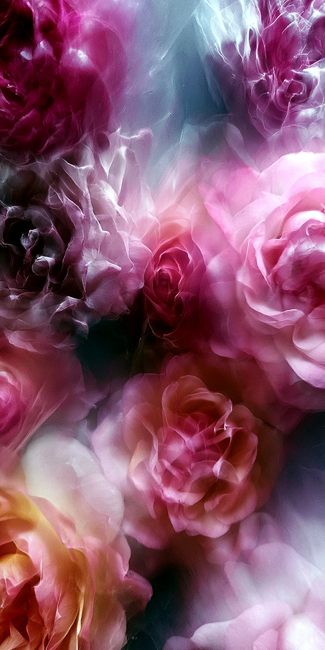 Abstract Roses in Soft Hues