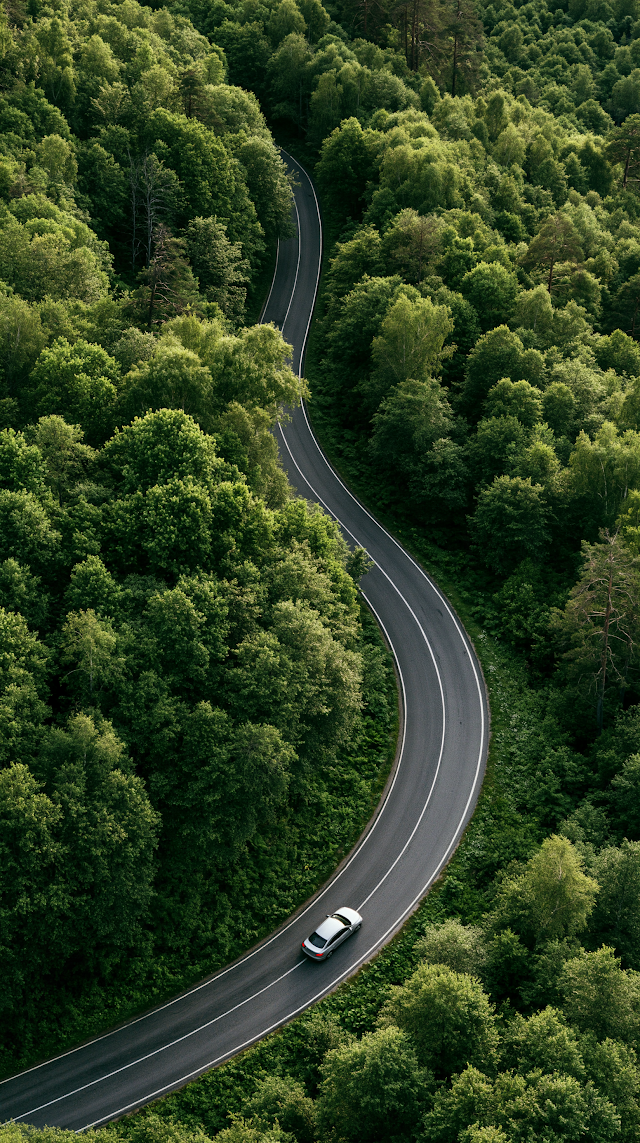 Aerial View of Car Driving Through Lush Green Forest