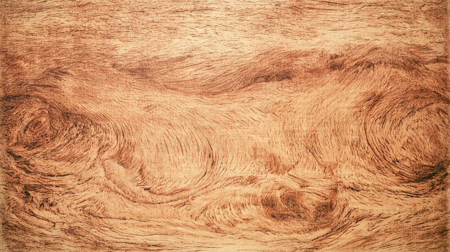 Close-Up of Light Golden Oak Wood Texture
