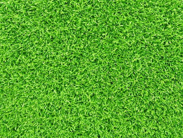 Close-Up View of Dense Healthy Green Grass