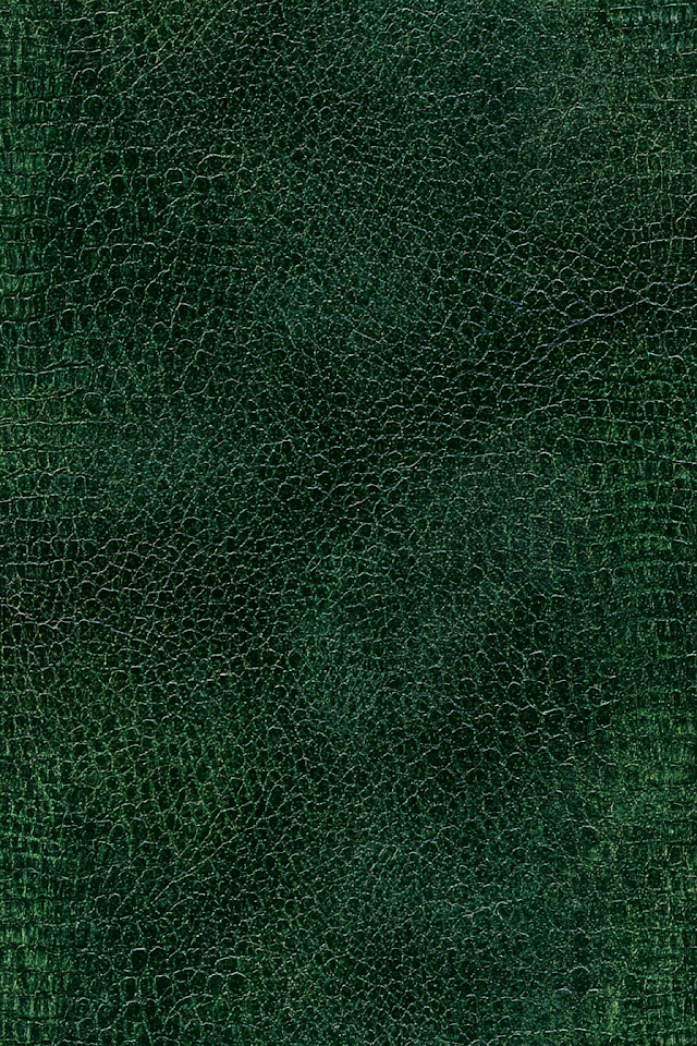 Dark Green Dragon Hide Leather Texture