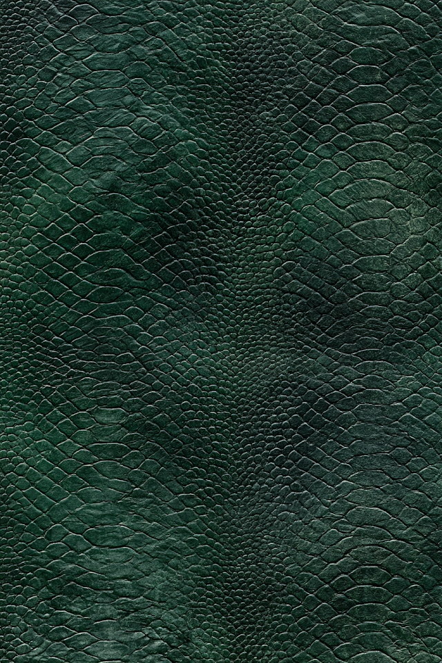 Dark Green Dragon Hide Leather Texture