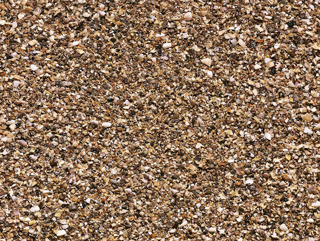Detail of Crushed Seashell Fragments and Beach Gravel