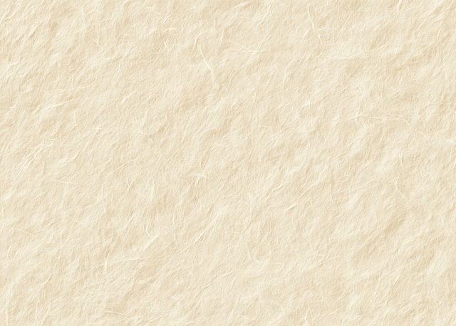 Elegant Handmade Japanese Washi Paper Texture