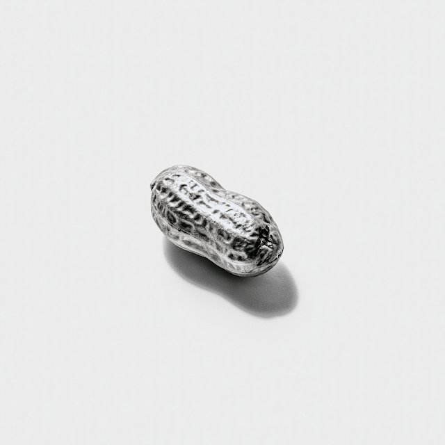 Elegant Minimal Monochrome Peanut Collage