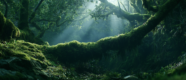 Enchanted Moss-Covered Forest