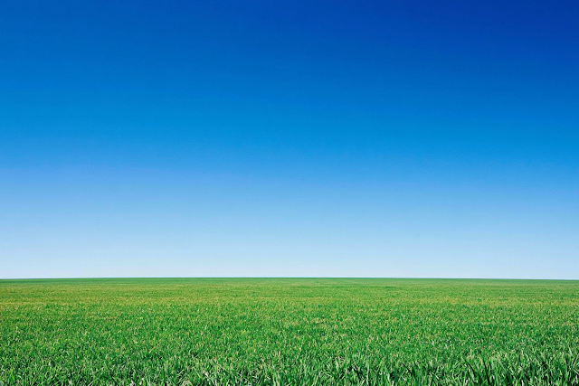 Endless Green Grass Field Under Clear Blue Sky