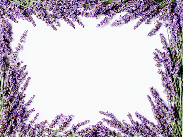 Fresh Lavender Frame with White Center