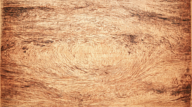 Light Golden Oak Wood Texture