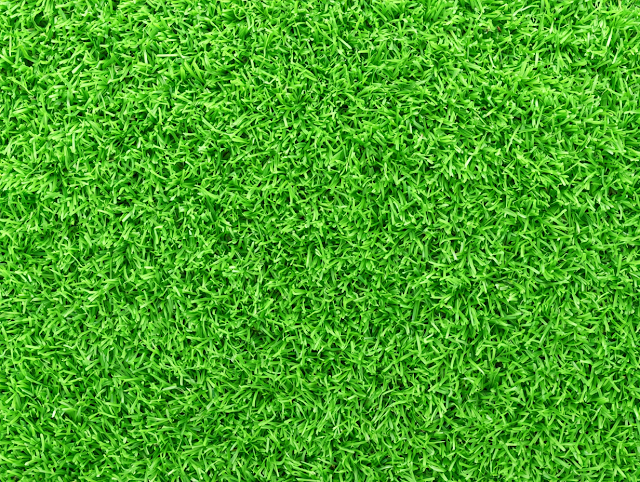 Lush Green Lawn Texture