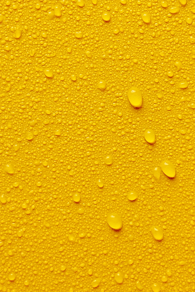 Macro Water Droplets on Vibrant Yellow Surface