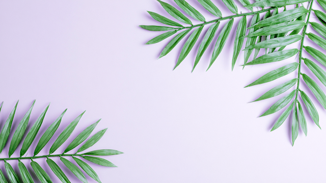 Minimal Tropical Botanical Flat Lay on Lavender Background