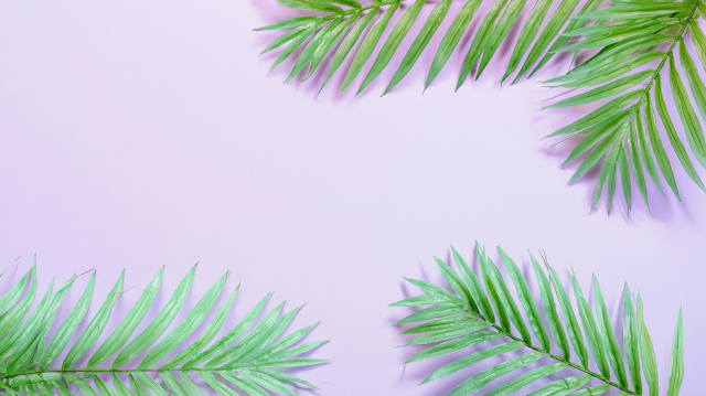 Minimal Tropical Botanical Flat Lay with Palm Fronds