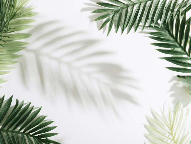 Minimal Tropical Flat Lay with Palm Fronds