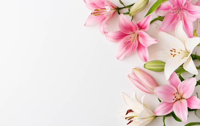 Minimalist Floral Arrangement with Lilies