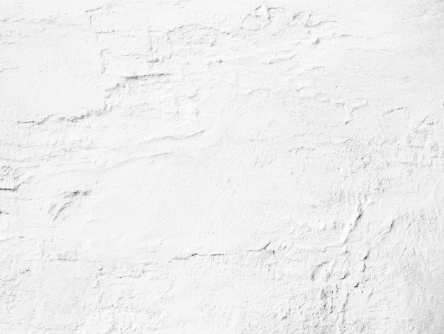 Minimalist White Plaster Wall Texture