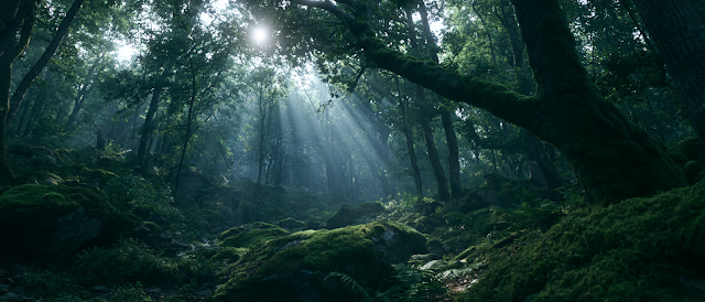 Mystical Ancient Forest with God Rays