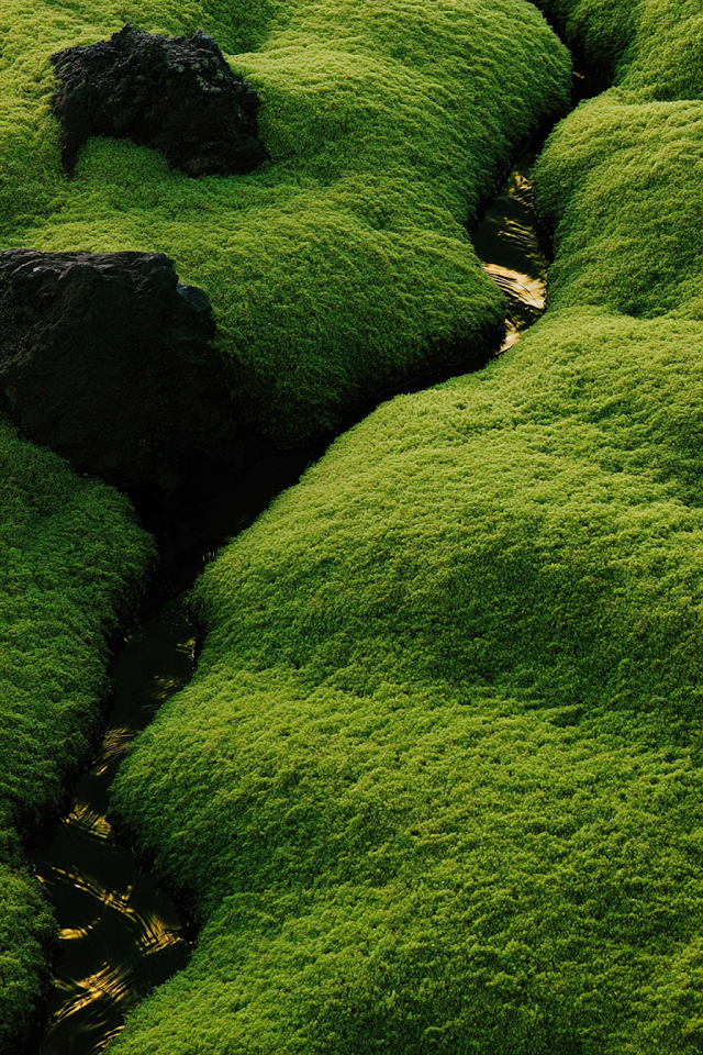 Otherworldly Volcanic Lagoon with Velvety Moss